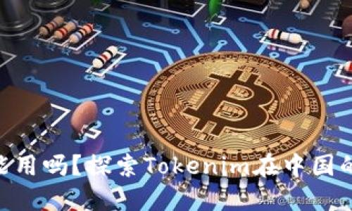 Tokenim在中国能用吗？探索Tokenim在中国的使用现状和未来
