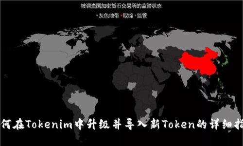 如何在Tokenim中升级并导入新Token的详细指南