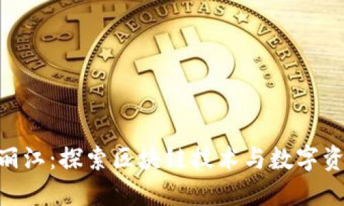 tokenim丽江：探索区块链技术与数字资产的未来