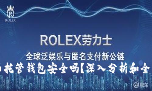 虚拟币托管钱包安全吗？深入分析和全面解读