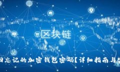 如何找回忘记的加密钱包密码？详细指南与实用