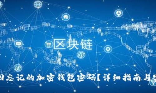 如何找回忘记的加密钱包密码？详细指南与实用建议