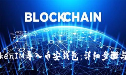 如何将TokenIM导入币安钱包：详细步骤与注意事项