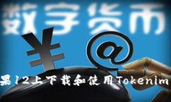 如何在苹果12上下载和使用