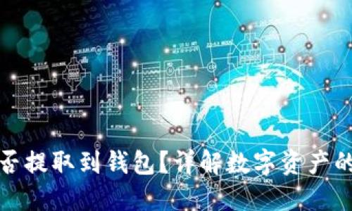 数字藏品能否提取到钱包？详解数字资产的管理与转移