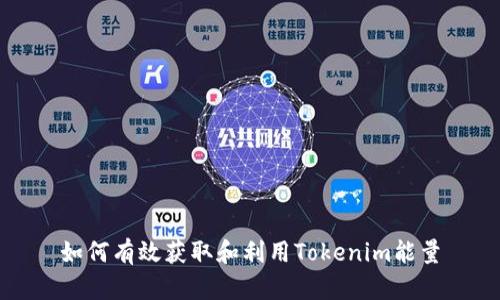 如何有效获取和利用Tokenim能量