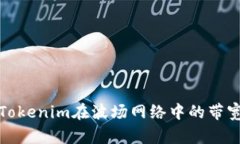 如何解决Tokenim在波场网络