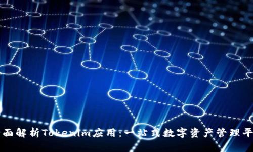 全面解析Tokenim应用：一站式数字资产管理平台