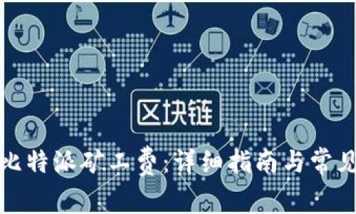 如何购买比特派矿工费：详细指南与常见问题解答