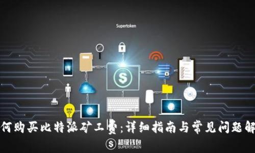 如何购买比特派矿工费：详细指南与常见问题解答