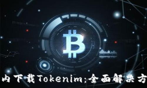   
如何在国内下载Tokenim：全面解决方案与技巧