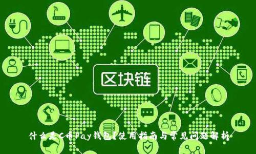 什么是C币Pay钱包？使用指南与常见问题解析