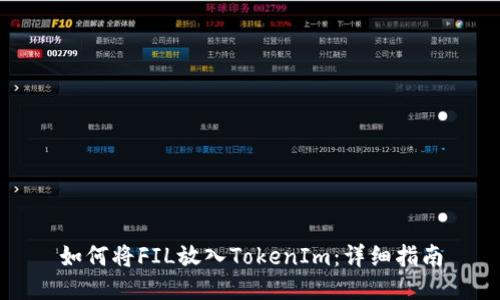 如何将FIL放入TokenIm：详细指南