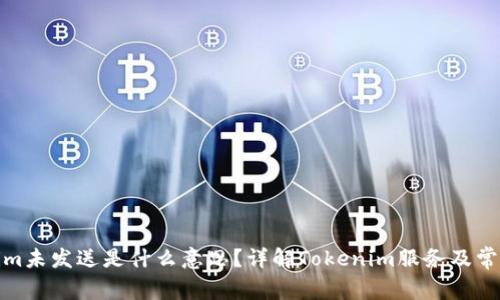 Tokenim未发送是什么意思？详解Tokenim服务及常见问题