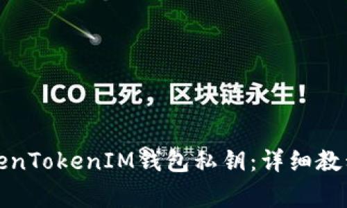 如何导出TokenTokenIM钱包私钥：详细教程及注意事项