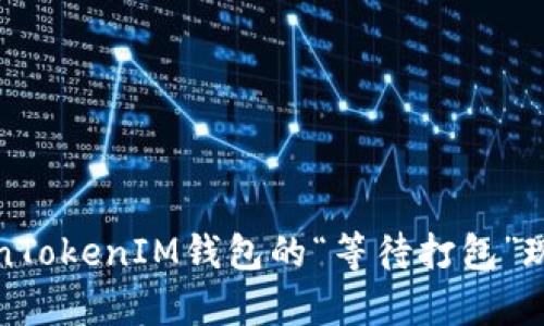 全面解析TokenTokenIM钱包的“等待打包”现象及解决方案