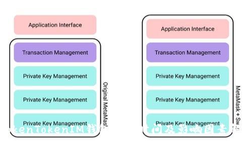 TokenTokenIM钱包维护时间及影响因素解析