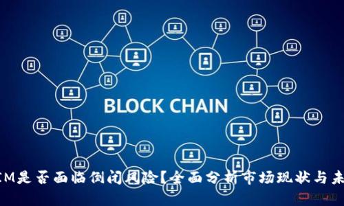 TokenIM是否面临倒闭风险？全面分析市场现状与未来展望