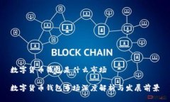 数字货币钱包是什么市场