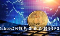 TokenTokenIM钱包是否支持B