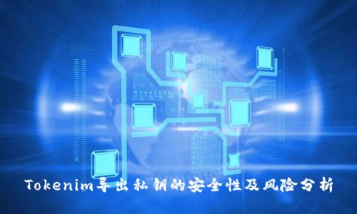 Tokenim导出私钥的安全性及风险分析
