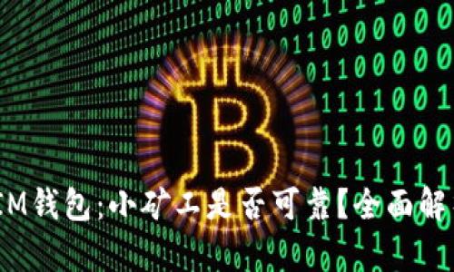 TokenTokenIM钱包：小矿工是否可靠？全面解析与用户指南
