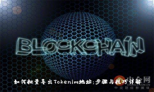 如何批量导出Tokenim地址：步骤与技巧详解