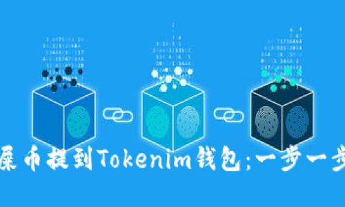 如何将屎币提到Tokenim钱包：一步一步的指南