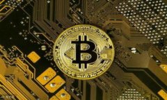    怎样在Tokenim钱包中添加
