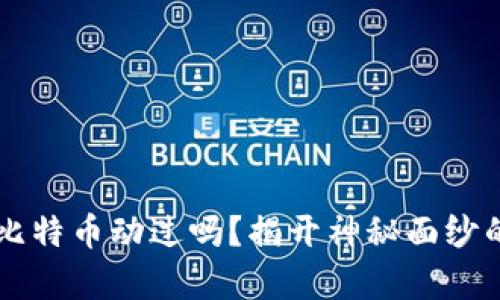 中本聪的比特币动过吗？揭开神秘面纱的背后真相