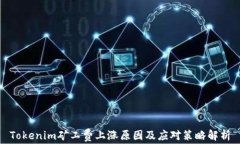 Tokenim矿工费上涨原因及应