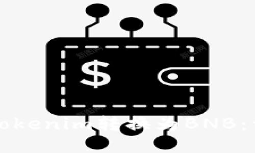 如何将Tokenim转换为BNB：详细指南