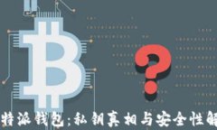比特派钱包：私钥真相与