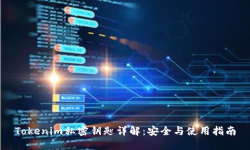 Tokenim私密钥匙详解：安全与使用指南