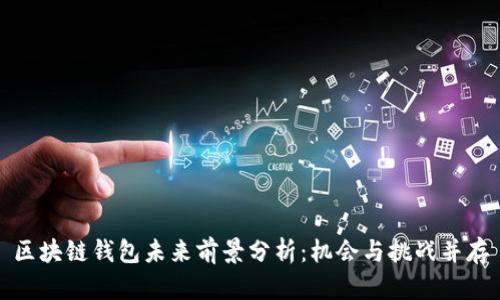 区块链钱包未来前景分析：机会与挑战并存