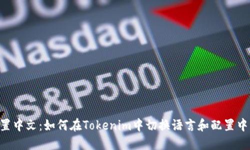 Tokenim设置中文：如何在Tokenim中切换语言和配置中文用户体验