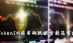 ## TokenIM项目的现状分析及