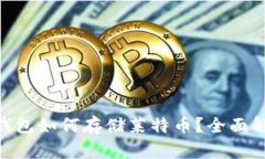 Tokenim钱包如何存储莱特币