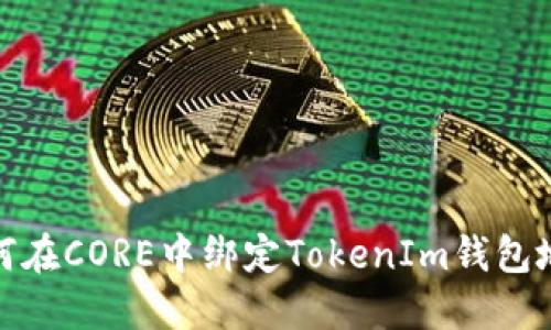 如何在CORE中绑定TokenIm钱包地址