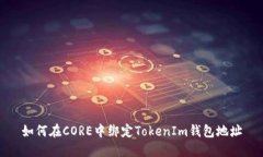 如何在CORE中绑定TokenIm钱包