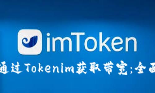 如何通过Tokenim获取带宽：全面指南