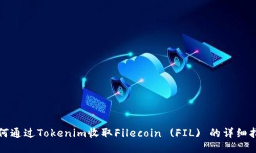 如何通过Tokenim收取Filecoin (FIL) 的详细指南