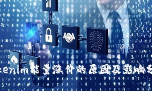 Tokenim能量涨价的原因及影响分析
