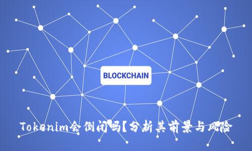 Tokenim会倒闭吗？分析其前景与风险