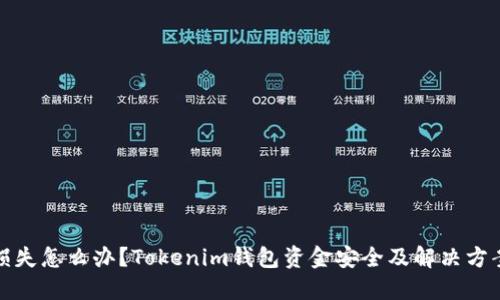 投资损失怎么办？Tokenim钱包资金安全及解决方案详解