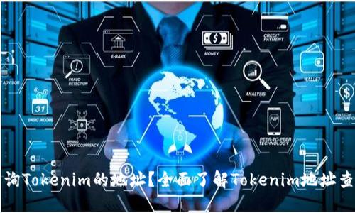 如何查询Tokenim的地址？全面了解Tokenim地址查询方法