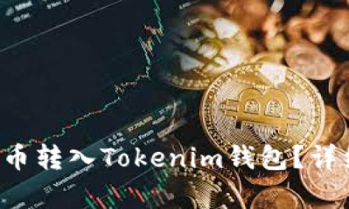 如何将FIL币转入Tokenim钱包？详细步骤解析