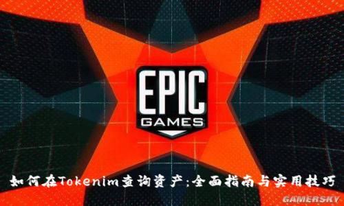 如何在Tokenim查询资产：全面指南与实用技巧