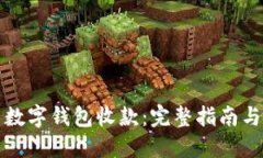 如何使用数字钱包收款：