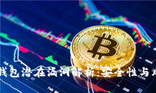 区块链钱包潜在漏洞解析：安全性与风险管理